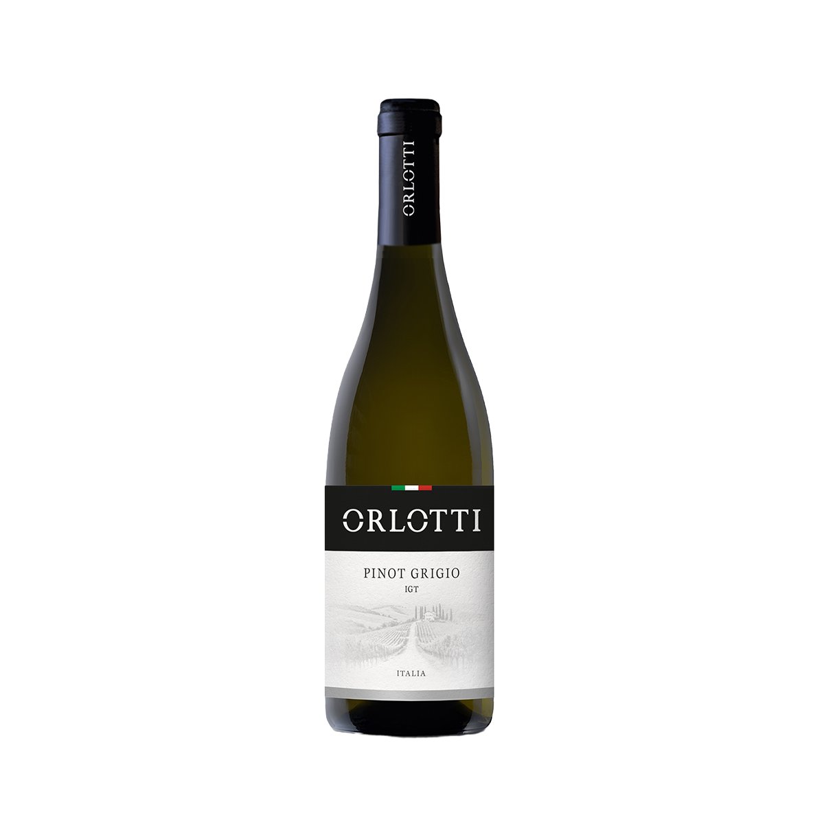 Pinot Grigio Terre di Chieti IGT